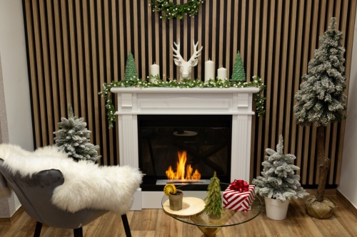 biokominek_portalowy_werona_z_szyba_aranzacja_01