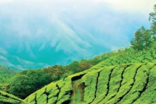 screenshot_2026-02-23_223324_edited