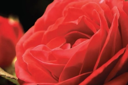 screenshot_2026-02-23_223755_edited