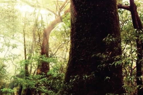 screenshot_2026-02-23_224116_edited