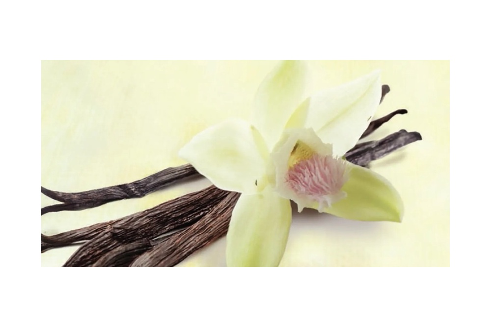 screenshot_2026-02-23_223630_edited